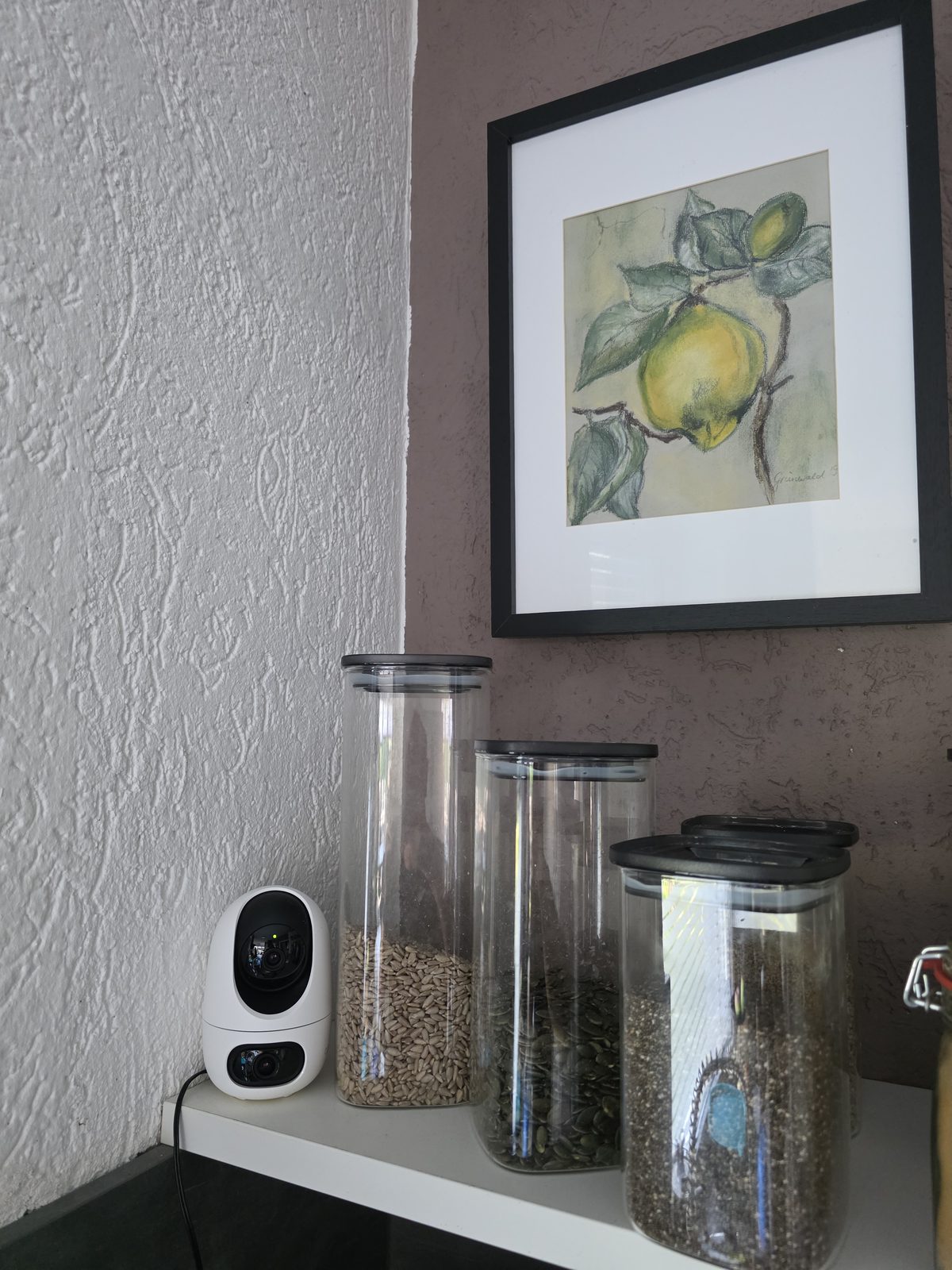 Tapo C245D auf einem Küchenregal neben Vorratsgläsern