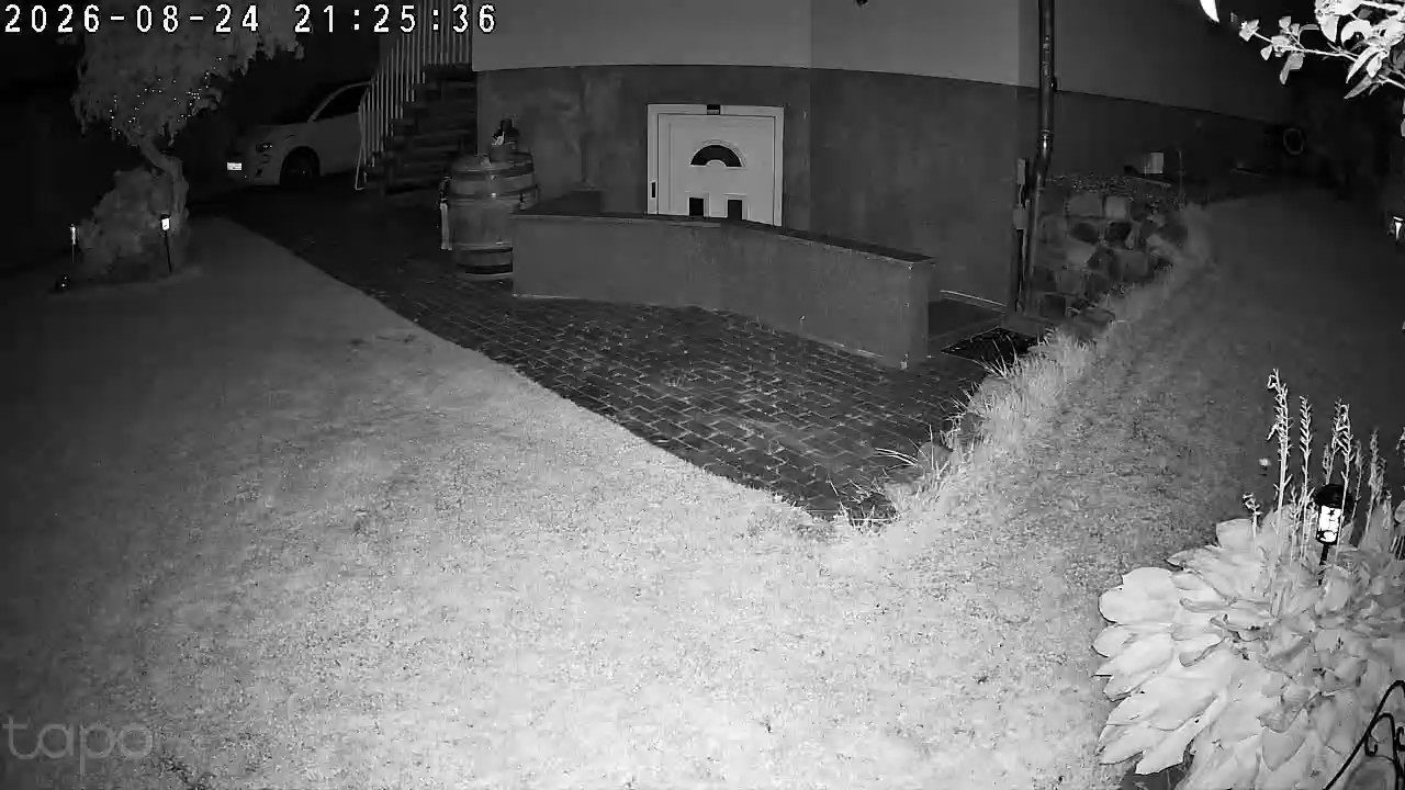 Nachtaufnahme derselben Szene im Infrarotmodus in Schwarz-Weiß, zwölf Sekunden später